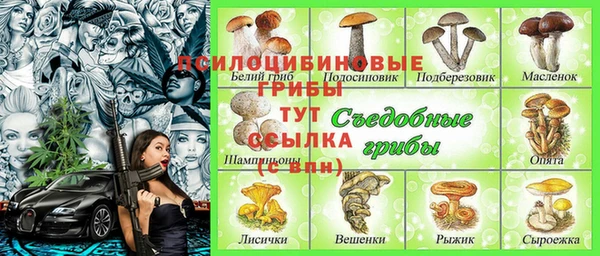 хмурый Богородск