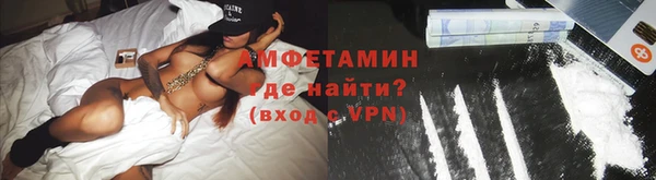 гидра Богданович