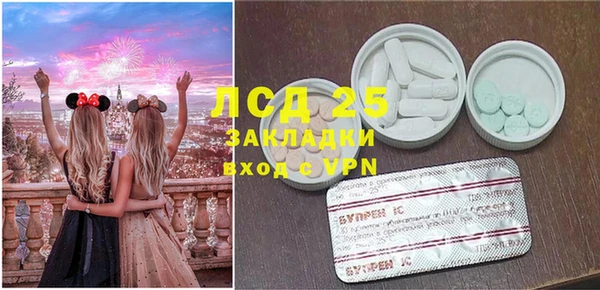 гидра Богданович