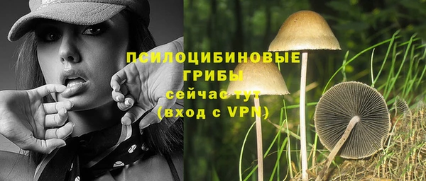 гидра Беломорск