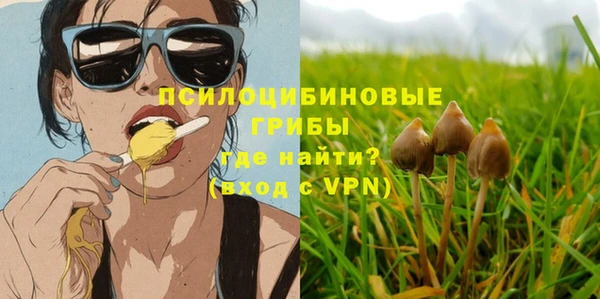 гидра Богданович