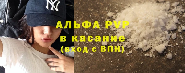 спиды Белокуриха